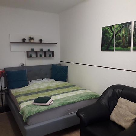 Apartment Ap 1 Im Zentrum Steyr, Bestrooms Eu מראה חיצוני תמונה