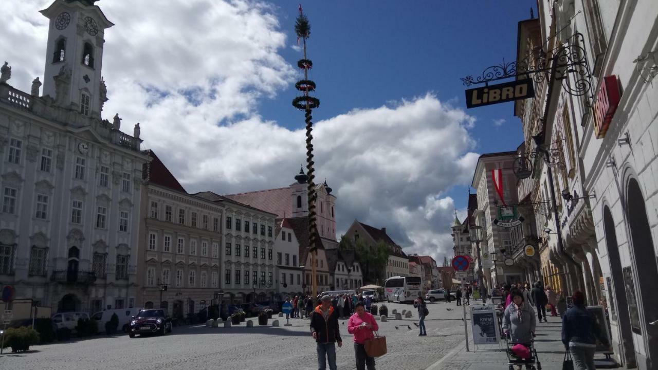 Apartment Ap 1 Im Zentrum Steyr, Bestrooms Eu מראה חיצוני תמונה